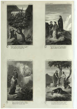 Visualizza l'immagine "Vol. Y 121.2, tav. 13"